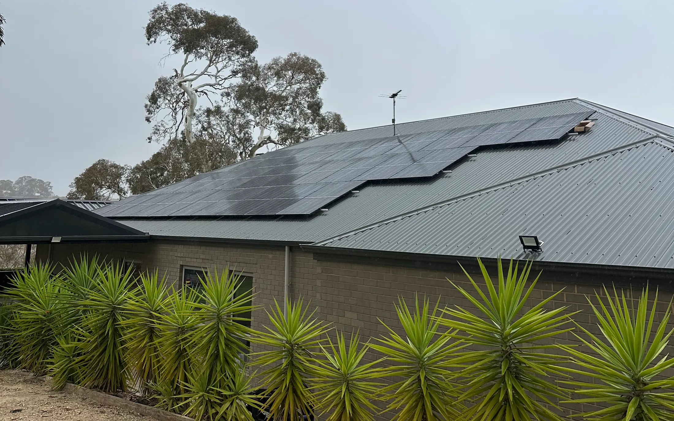 Solar panels on an Adelaide home